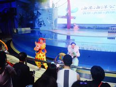 -三亚海昌梦幻海洋不夜城