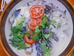 -全乐鱼馆·淳牌有机鱼直营店