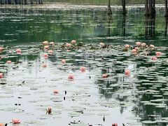 -白鹭湾湿地公园