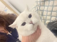 -半秋山西餐厅(销品茂店)