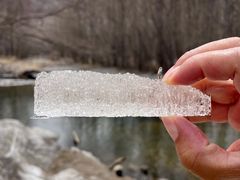 -洮儿河国家湿地公园