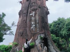 -青青世界
