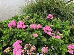 -鸡毛店·川菜(双楠店)