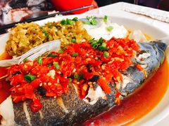 剁椒蒸鱼头-新新湘菜馆(新中街二条店)