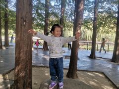-八大关景区