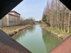 -南湖湿地公园