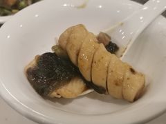 -国家五钻酒家·西樵旺阁渔村(西樵店)