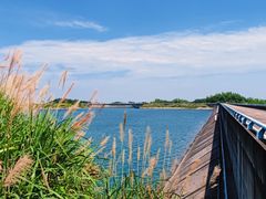 -长沙黑麋峰国家森林公园