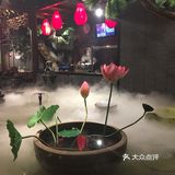 新派烤鸭的第一次尝试