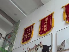 -爱侣宠医·鹦鹉专科·小型哺乳类·异宠专科(灵石路店)