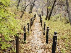 -兰州吐鲁沟国家森林公园