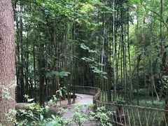 -成都杜甫草堂博物馆