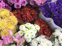 -双季花艺园艺市场(浦东店)