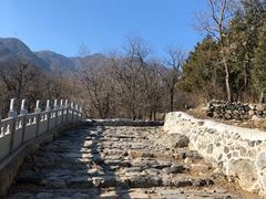 -阳台山自然风景区