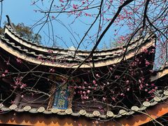 -韬光茶庵