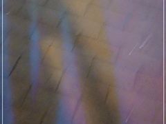 -魏家凉皮(文景路店)