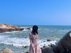 -广东惠东海龟国家级自然保护区