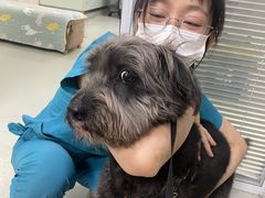 -美美宠物诊疗中心·异宠·骨科(滨江东信分院)
