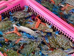 -众味海鲜大排档·活海鲜·潮汕味(南澳店)