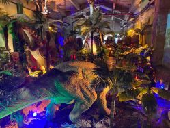 -恐龙探索乐园(磁器口店)