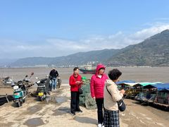 -北岐滩涂