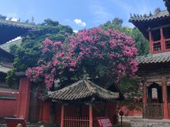 -报恩寺(平武县)