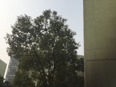 -上海市曹杨职业技术学校