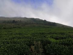 -东白山