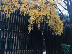 -上海紫彤友联生煎(金沙井店)