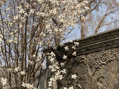 -春风习习
