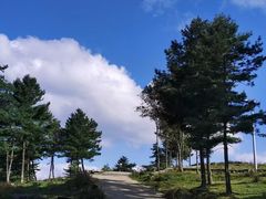 -丰都鬼城名山景区