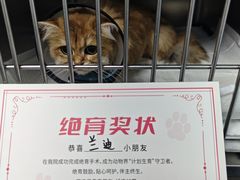 -宠颐生斯嘉宠物医院·急重症·心内科(谷阳北路分院)