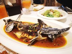 豆豉蒸鲟龙鱼-万龙洲海鲜(大兴绿地缤纷城店)