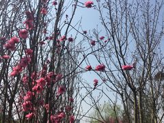 -贵阳市花溪国家城市湿地公园