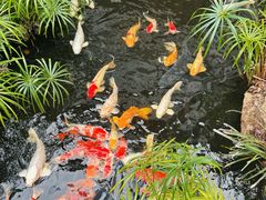 -聚福宝合苑食府(南头镇店)