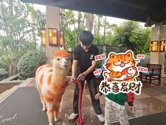 -三亚亚龙湾人间天堂鸟巢度假村