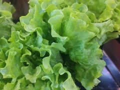 -牛犇烤肉(物资学院路店)
