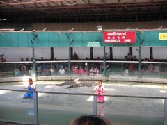 -是拉差龙虎园(Permanently closed)