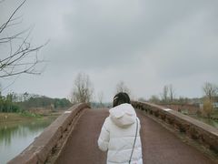 -白鹭湾湿地公园