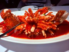 -醉舍·新淮扬菜(长宁龙之梦店)