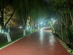 -滨湖塘西河公园
