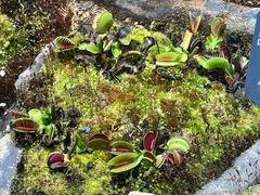 -国家植物园南园