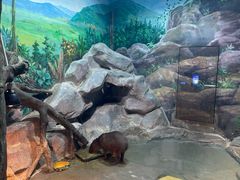 -福州罗源湾海洋世界旅游区