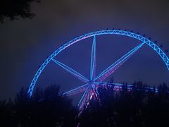 -哈尔滨文化公园