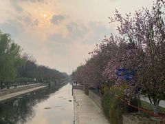 -元大都城垣遗址公园