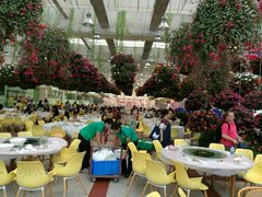 -广州花之恋城堡酒店