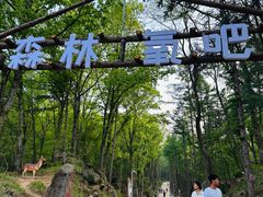 -洛阳白云山景区