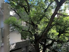 -湖北美术学院(昙华林校区)