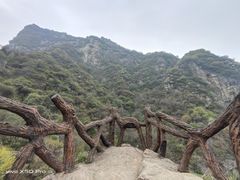 -秦岭终南山世界地质公园翠华山景区