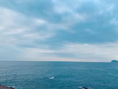 -广东惠东海龟国家级自然保护区